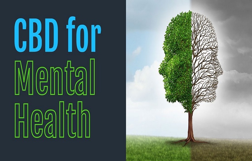 CBD and Its Effects For Mental Health