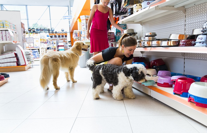 The Benefits of Having a One-Stop Shop for Pet Supplies