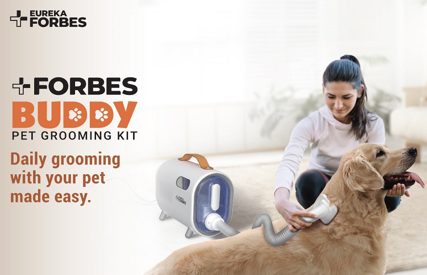 Forbes Buddy: The Ultimate Solution for Pet Hair Removal from Upholstery and Grooming Your Furry Friend!